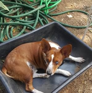 Meet your Posher, Mindy